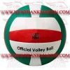 Volley Ball (FM-42012 a-10)