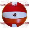 Volley Ball (FM-42012 a-102)