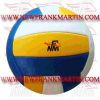 Volley Ball (FM-42012 a-108)